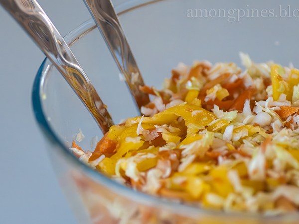 Simple and delicious raw food salad&nbsp;(Recipe)