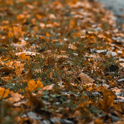 10 ways to enjoy&nbsp;autumn