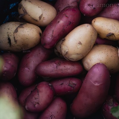 How to freeze potatoes: A step-by-step&nbsp;guide